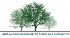 Athens Lawn and Landscaping Services